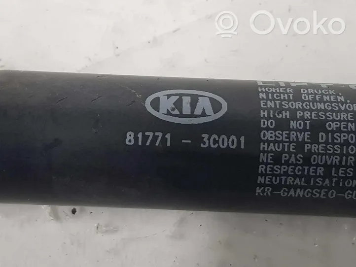 KIA Magentis Vérin de capot arrière 817713C001