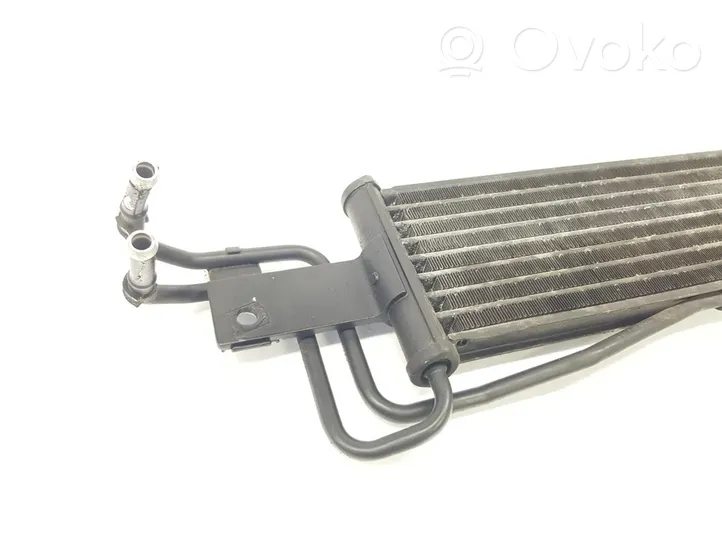 Hyundai Santa Fe Radiateur de direction assistée 254602B100