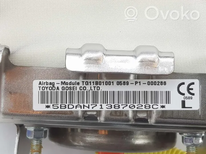 Citroen C1 Keleivio oro pagalvė B000870780