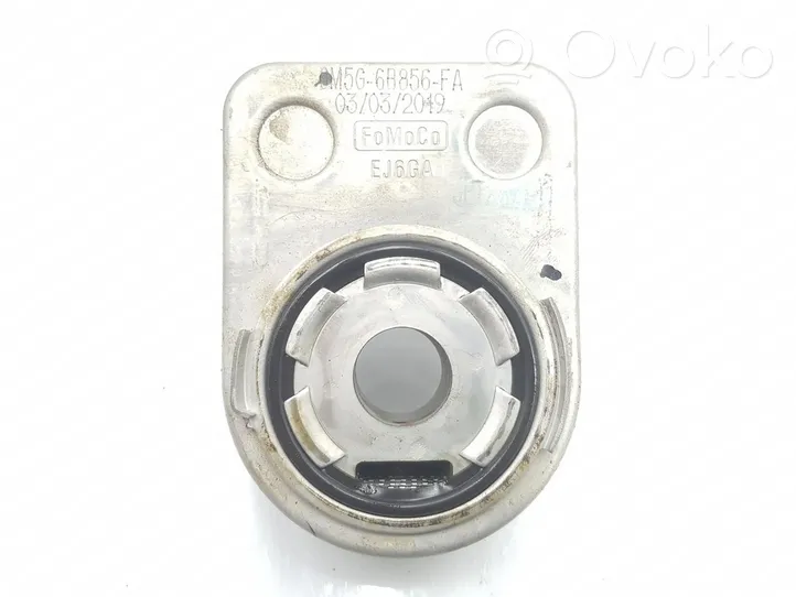 Ford Ecosport Radiatore dell’olio del motore M1JU