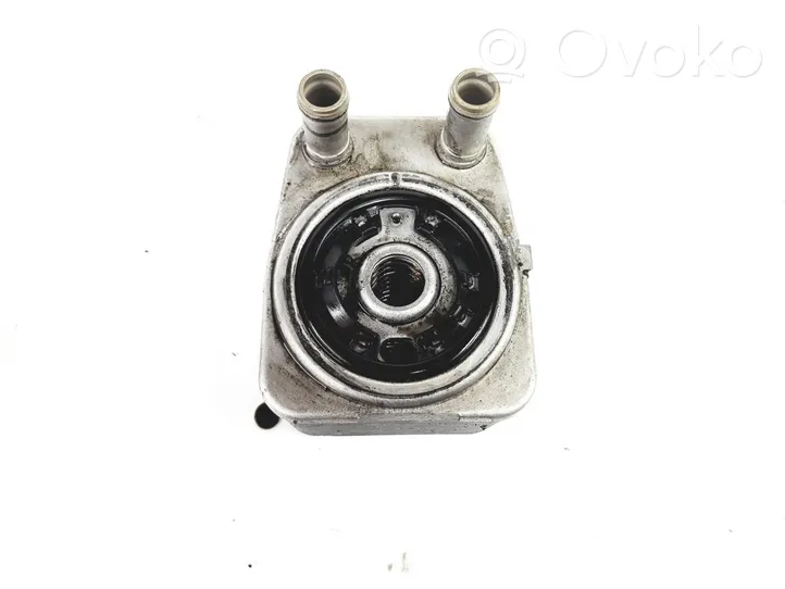 Seat Exeo (3R) Radiador del aceite del motor 038117021E