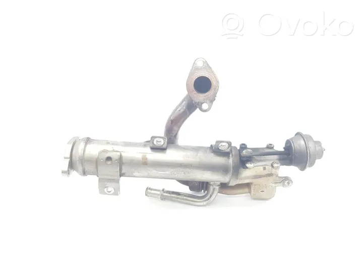 Seat Exeo (3R) EGR-venttiili/lauhdutin 03L131512AH