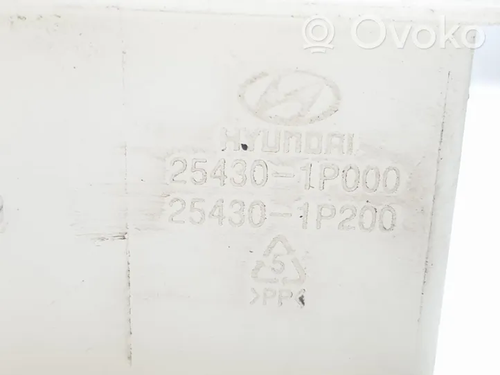 KIA Venga Coolant expansion tank/reservoir 254301P200