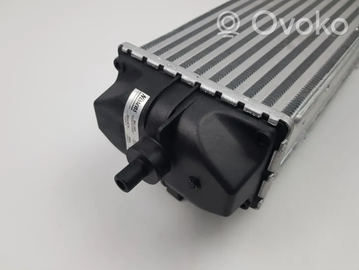 Ford Ecosport Chłodnica powietrza doładowującego / Intercooler GN11-6K775-AB