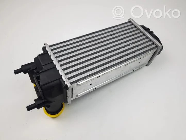 Ford Ecosport Chłodnica powietrza doładowującego / Intercooler GN11-6K775-AB