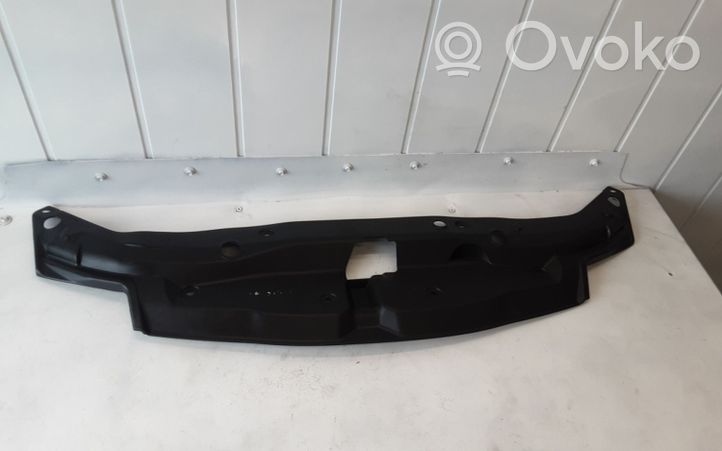 Honda Civic Rivestimento della modanatura della chiusura del vano motore/cofano 71125SMGE020