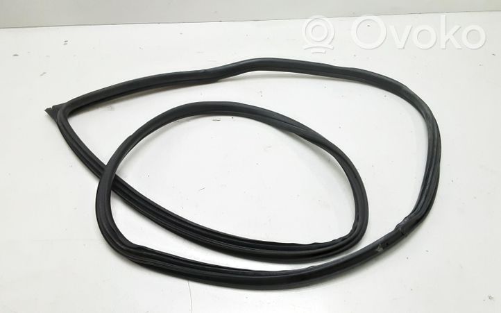 BMW 1 E82 E88 Front door rubber seal 7164948