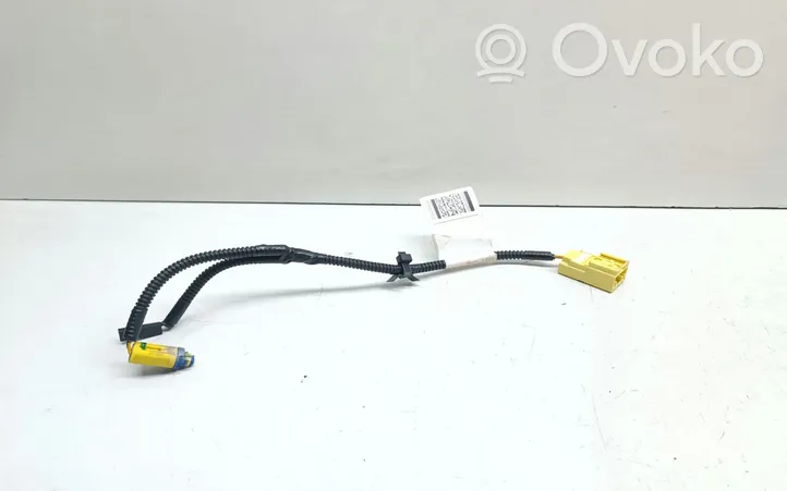 Nissan Qashqai+2 Autres faisceaux de câbles W28002A77