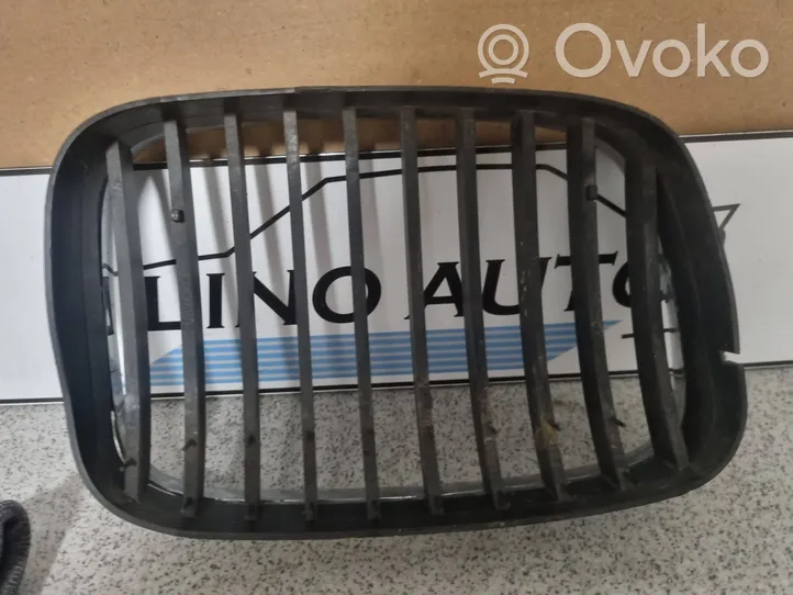 BMW 5 E39 Front grill M0701903