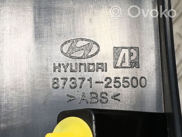 Hyundai Santa Fe Garniture de hayon 8737125500