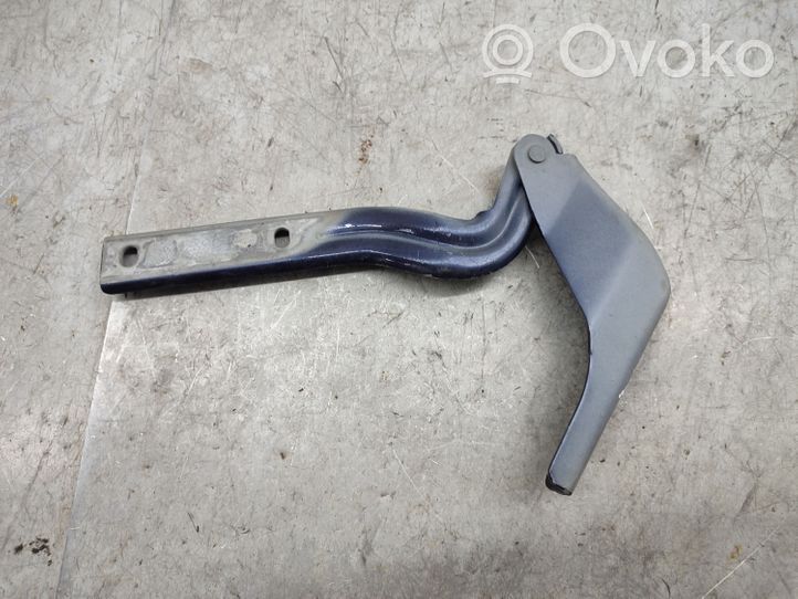 Volkswagen PASSAT B7 USA Engine bonnet/hood hinges 561823301