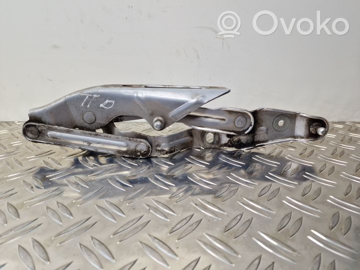 Audi TT Mk1 Cerniere del vano motore/cofano 8N0823302