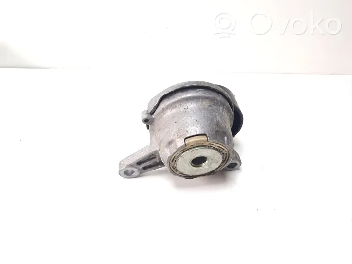 Volkswagen Golf VII Napinacz paska alternatora 04L903315B