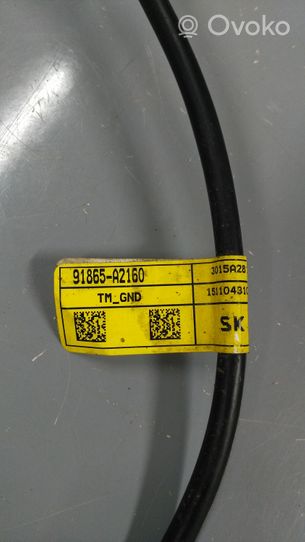 KIA Ceed Câble de batterie positif 91865A2160