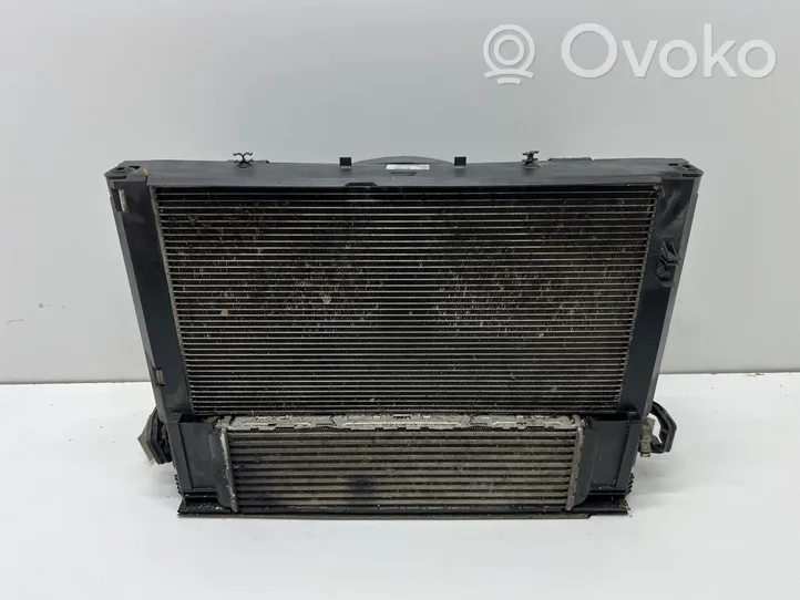 BMW 4 F36 Gran coupe Radiatoru panelis (televizors) 7245786