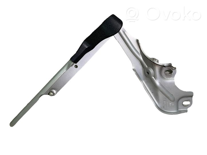 Audi A6 S6 C7 4G Cerniera portellone posteriore/bagagliaio 4G8823302E