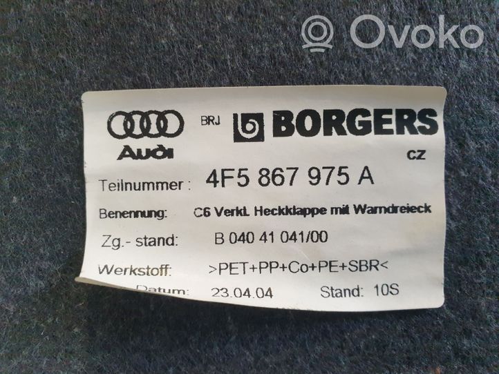 Audi A6 S6 C6 4F Pagrindinis apdailos skydas 4F5867975A