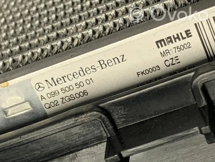 Mercedes-Benz EQS V297 Set del radiatore A0995005101