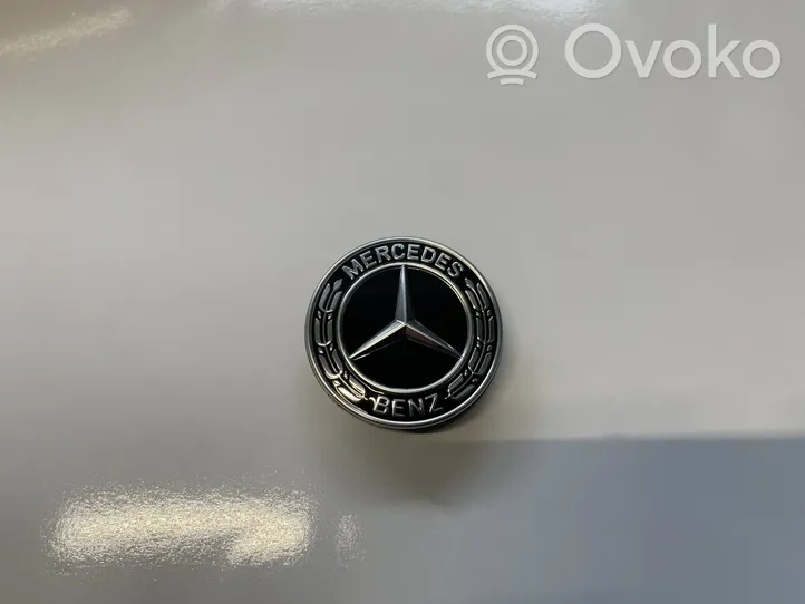 Mercedes-Benz E W213 Muut logot/merkinnät A0008173305