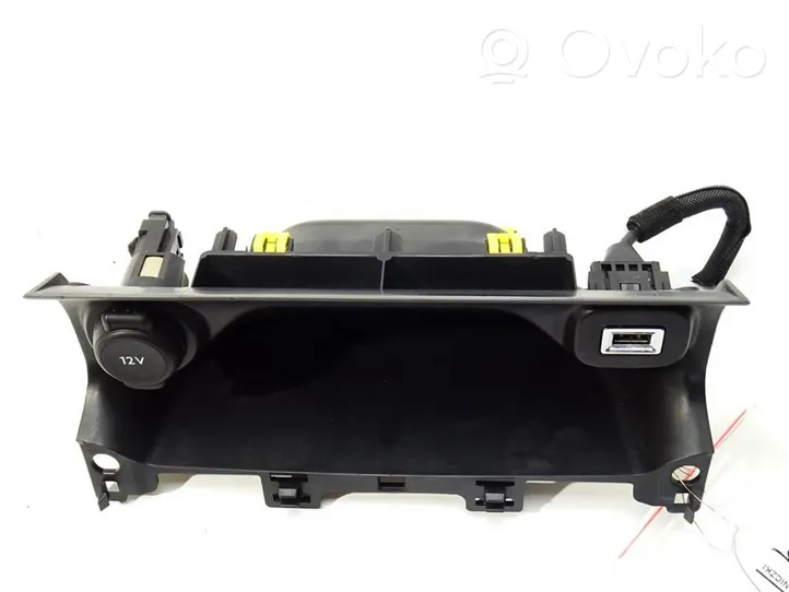 Citroen C4 Cactus Glove box set 