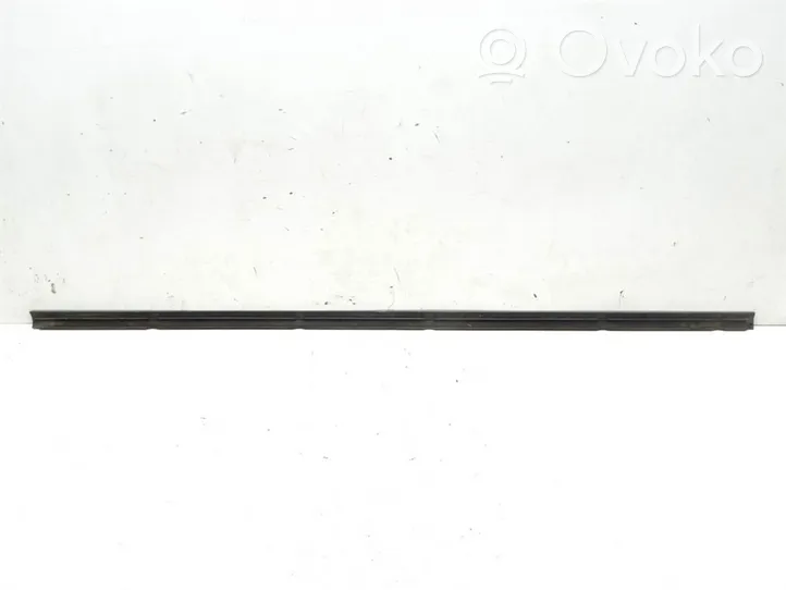 BMW X5 E53 Priekinis slenkstis (kėbulo dalis) 