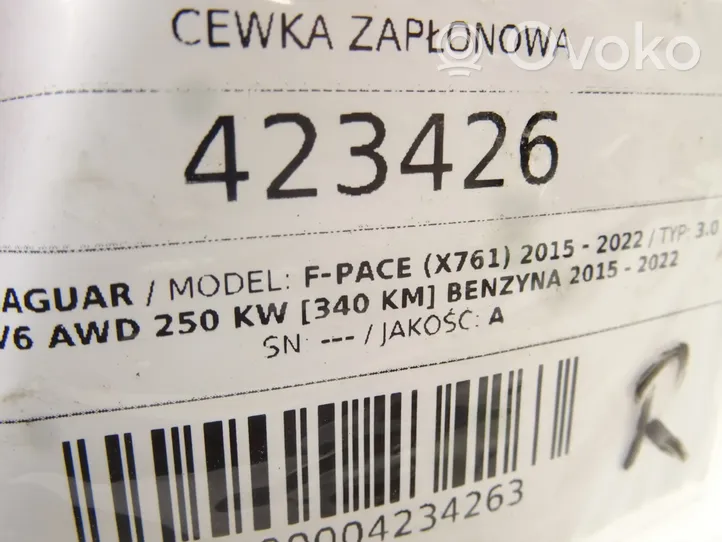 Jaguar F-Pace Zündspule Zündmodul DX23-12A366-AC
