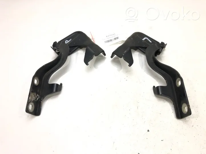 Opel Antara Engine bonnet/hood hinges 