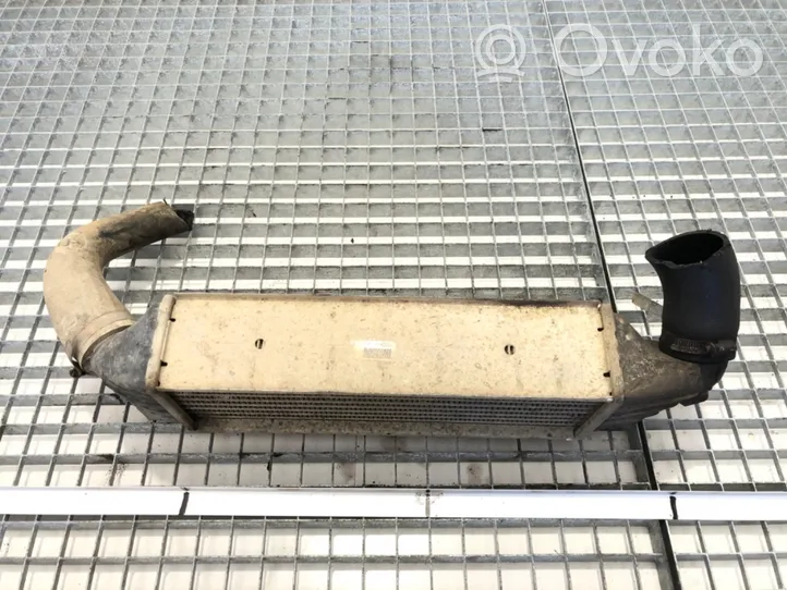 Ford Transit Radiatore intercooler 1C159L440BE