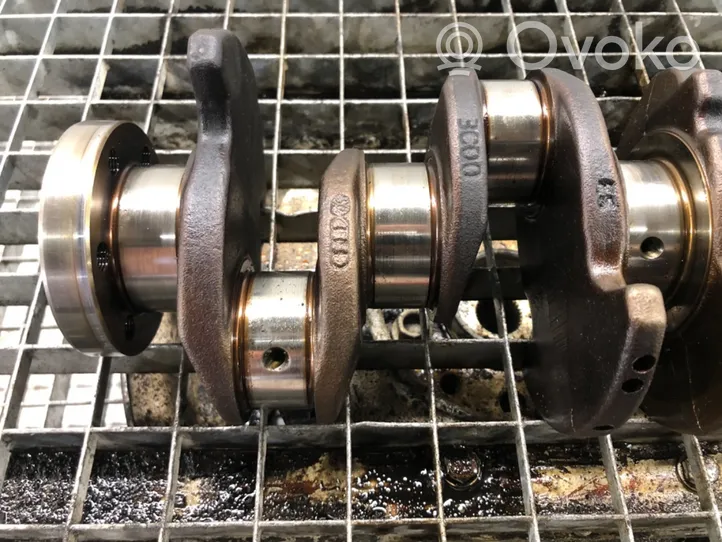 Volkswagen Touran I Crankshaft BLG