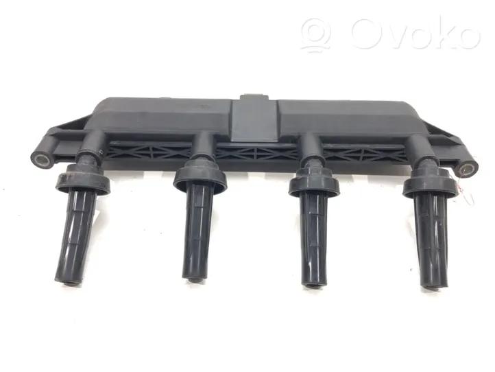 Citroen C2 High voltage ignition coil 0040102047