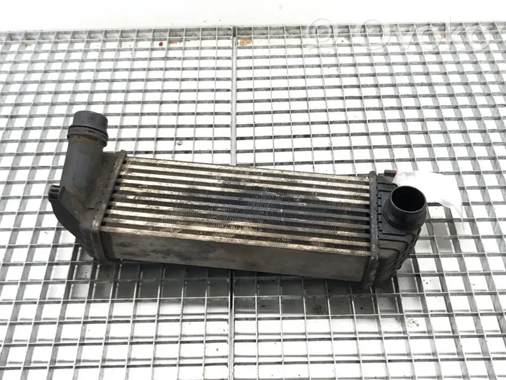 Renault Kangoo II Intercooler radiator 