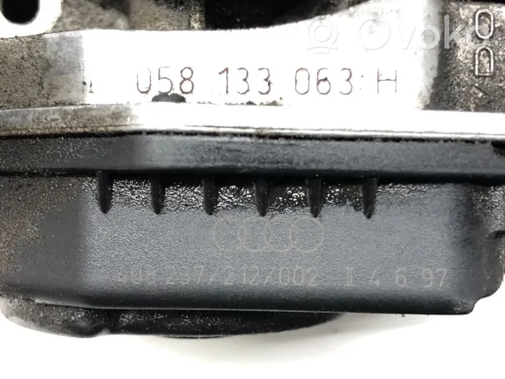Volkswagen PASSAT B5 Moottorin sulkuventtiili 058133063H