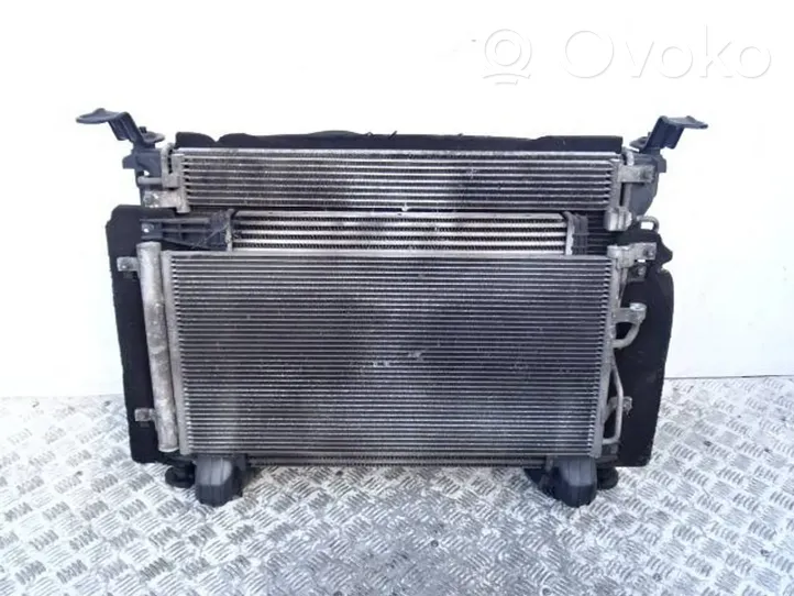 Opel Antara Set del radiatore F00S3D2021