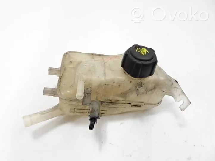 Renault Megane III Coolant expansion tank/reservoir cap 