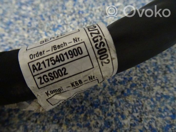 Mercedes-Benz S C217 Cavo positivo (batteria) 2175401900