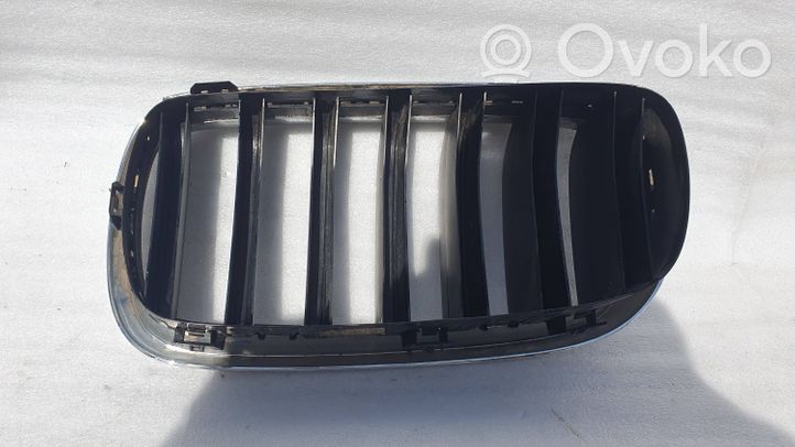 BMW X6 F16 Front bumper upper radiator grill 7316076