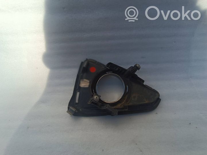 Toyota RAV 4 (XA40) Mascherina/griglia fendinebbia anteriore 5203042050