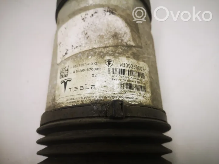 Tesla Model X Vorderer Stoßdämpfer mit Luftfederung 102736100G