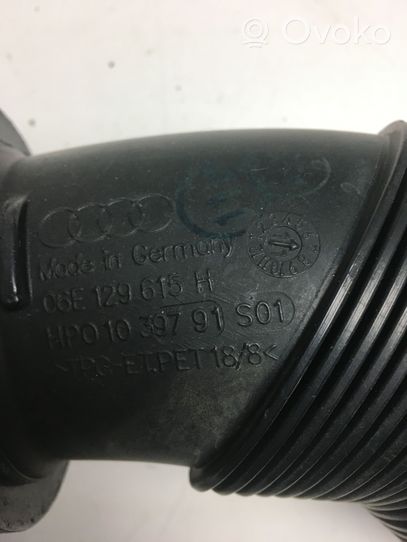 Audi A6 S6 C7 4G Oro paėmimo kanalo detalė (-ės) 06E129615H