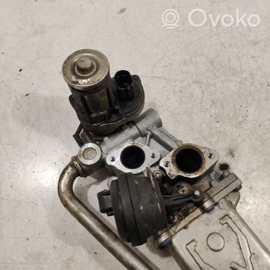 Volkswagen Polo V 6R Valvola EGR 013017354V400