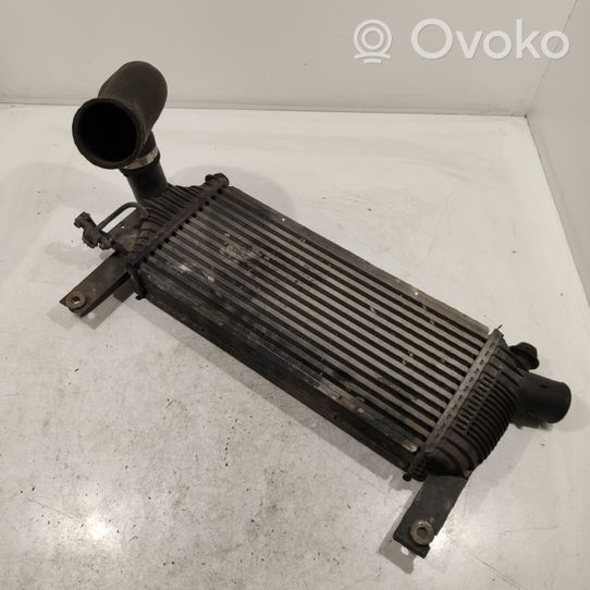 Nissan Pathfinder R51 Starpdzesētāja radiators 14461EB360