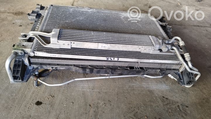 Mercedes-Benz B W245 Radiator support slam panel A1695000354