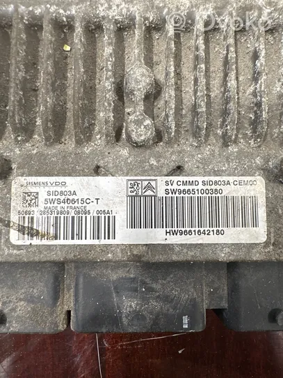 Peugeot Expert Dzinēja vadības bloks 9665100380