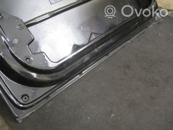 Volkswagen New Beetle Rear door 