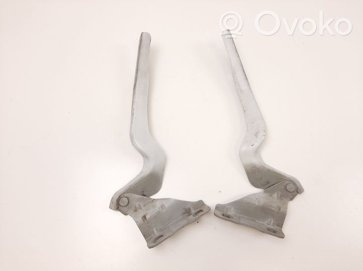 Nissan Qashqai Cerniere del vano motore/cofano JDRES64