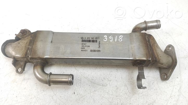 Mercedes-Benz ML W163 EGR valve cooler 