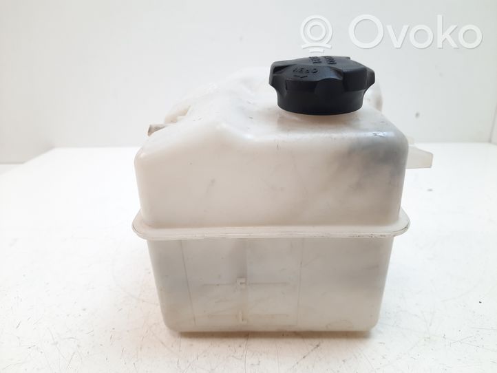 Hyundai i40 Serbatoio di compensazione del liquido refrigerante/vaschetta 254303Z100