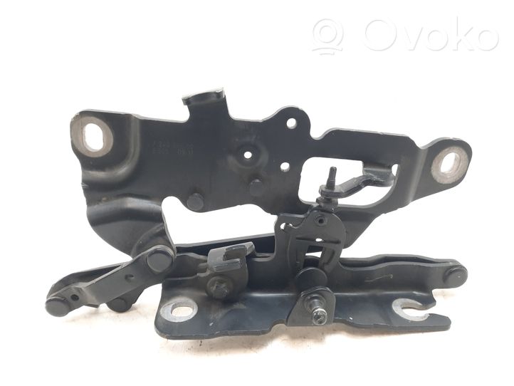 BMW 6 F12 F13 Cerniere del vano motore/cofano 7249888