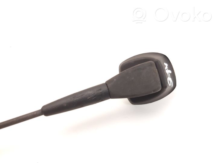 Dacia Sandero Antenna autoradio 