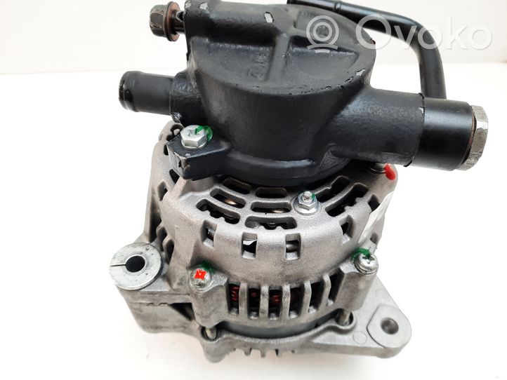 Hyundai Santa Fe Generatore/alternatore 021319113